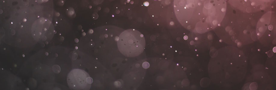violettebeckma Cover Image